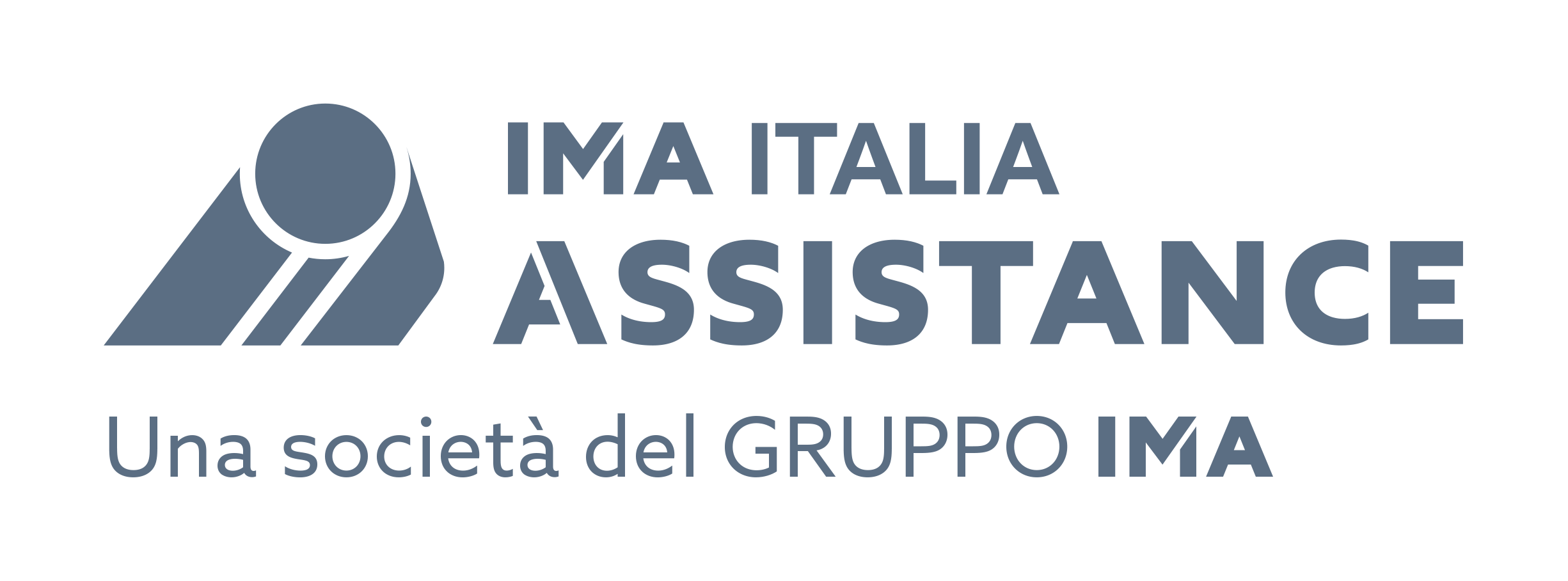 logo IMA Italia gris